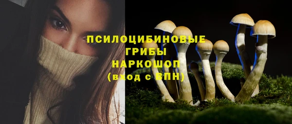 ГАЛЛЮЦИНОГЕННЫЕ ГРИБЫ Заволжск