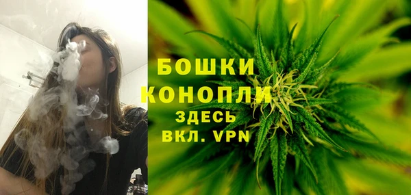 хмурый Заводоуковск